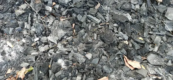 Ormanda siyah ve gri kömür