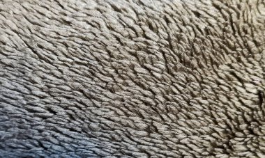 Doku, arka plan. Desen. Kürk. Arka plan bir kürk..