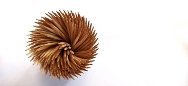 Beyaz ahşap arka planda bir bitkinin kuru fırçası. Doğal çevre dostu bitki.