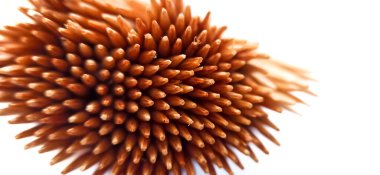 kahverengi karahindiba tohumlarının makrosu