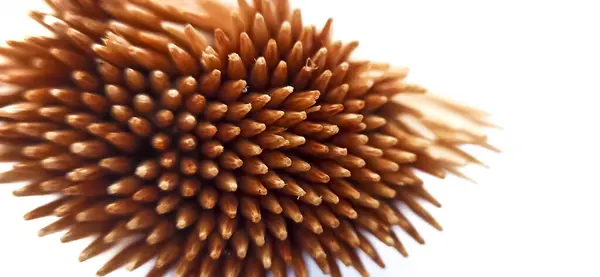 kahverengi karahindiba tohumlarının makrosu