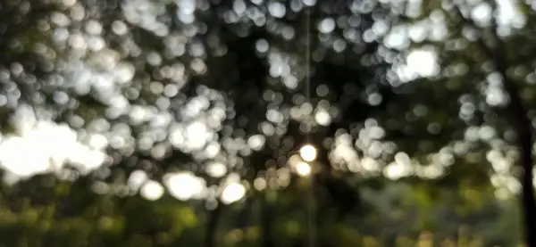 Suyun bokeh etkisi ile bulanık doğa arkaplanı