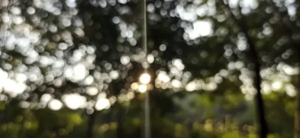 Yaprağın üzerine su damlası