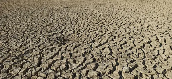 Kuru çatlamış toprak arkaplanı
