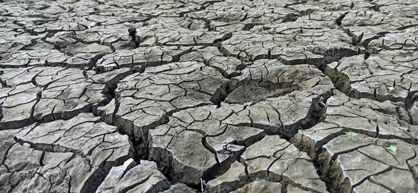 Çatlak toprak arka plan, kuru zemin yüzey dokusu.