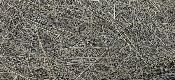 saman dokusu arkaplanı, soyut kahverengi cyan saman