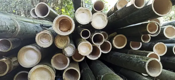 Ağaç kütükleri, kereste endüstrisi.