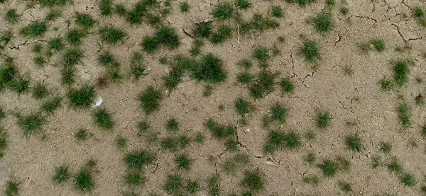 Kuru toprak, kuraklık dokusu, arka plan, çatlamış toprak, küresel ısınma