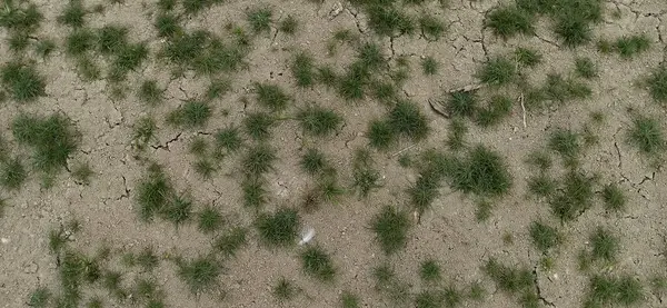 kuru çatlamış toprak dokusu