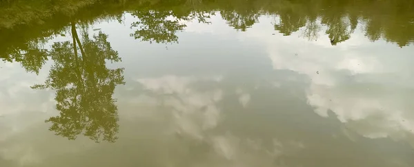 Sudaki ağaçların yansıması