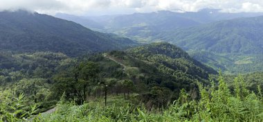 Yeşil orman ve dağlar