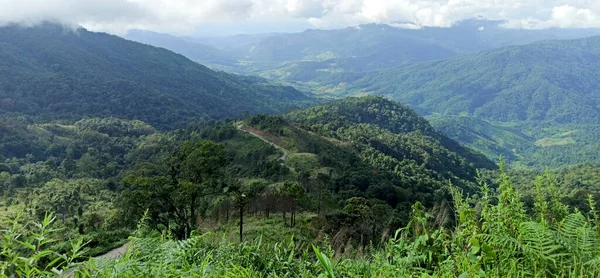 Yeşil orman ve dağlar