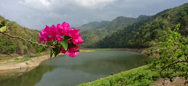 Dağların güzel manzarası