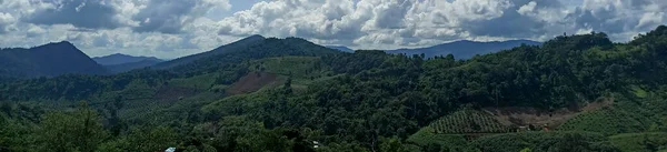 Dağları ve mavi gökyüzü olan güzel bir manzara.