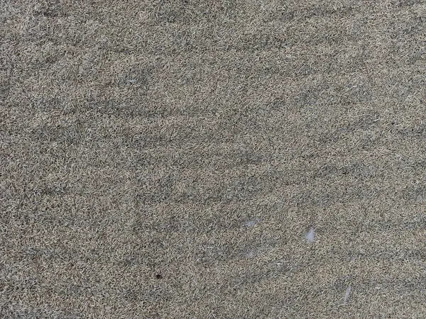 Kum ve deniz dalgaları