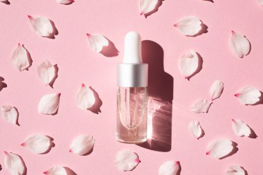 Pembe arka planda doğal sakura yaprakları arasında özü olan damlalık kavanozu. Yukarıdan görüntüle.