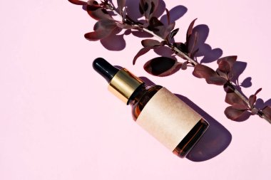 Doğal bir dalı olan pembe arka planda cam bir kozmetik damlatıcının maketi. Düz yatış, metin için yer.