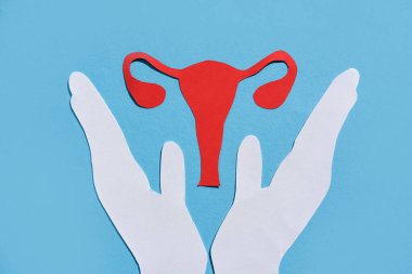 Anatomik rahmin silueti mavi arka plandaki bir doktorun ellerinde. Düz Düzen.