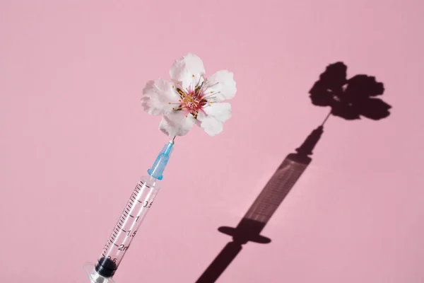 Naturlig Rosa Blomma Och Injektionsspruta Rosa Bakgrund Utsikt Uppifrån Begreppet — Stockfoto