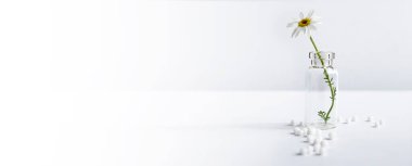 Homeopatik konsept. Şeffaf bir matarada papatya çayı ve beyaz arka planda homeopatik taneler..