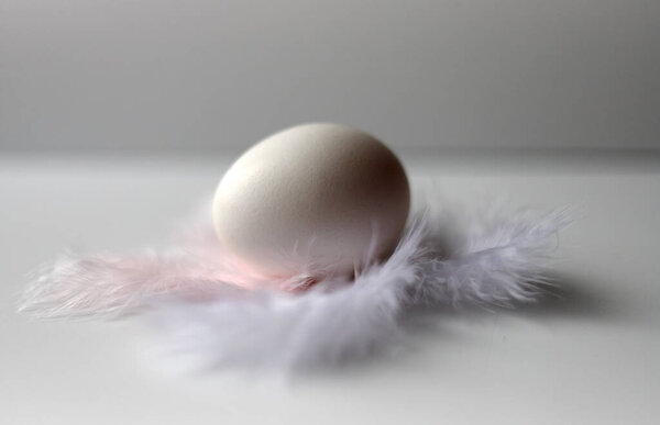 White chicken egg among white feathers on a white background. The concept of a bright holiday.