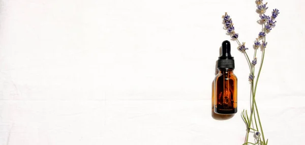 stock image Lavender oil in a glass bottle and a bouquet of dried lavender on a white background. Banner with place for text, flat lay.