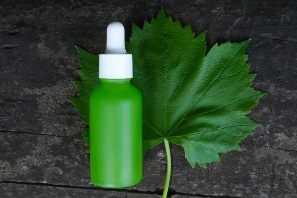 Frosted glass bottle with organic grape seed oil on fresh green grape leaf. The concept of natural cosmetics.