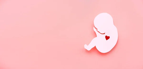 ピンクの背景に人間の胚の紙のシルエット 生殖の概念 バナー フラットレイアウト テキスト用の場所 — ストック写真