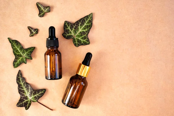 Glass dropper bottles with cosmetic product and natural ivy leaves. Naturopathy, alternative medicine, organic cosmetics. Top view, place for text.