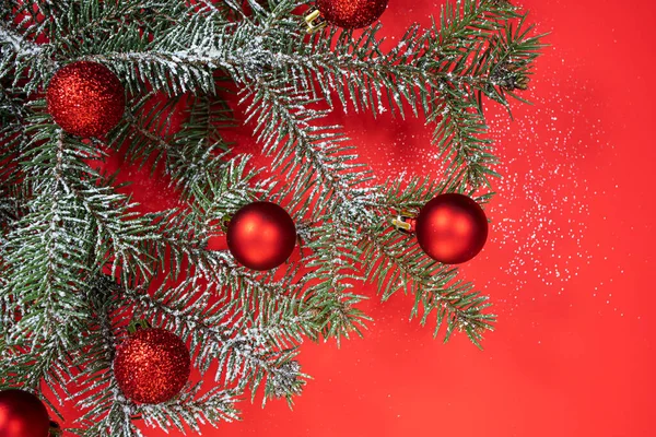 Natural Spruce Branch Red Christmas Balls Red Background Close Place Stock Image