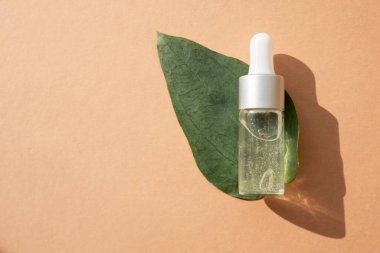 Bej arka planda serum şişesi ve yeşil doğal bitki. Organik kozmetik ürünleri. Yukarıdan görüntüle.