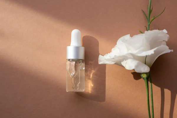 Una Botella Gotero Transparente Con Líquido Cosmético Una Flor Rosa — Foto de Stock