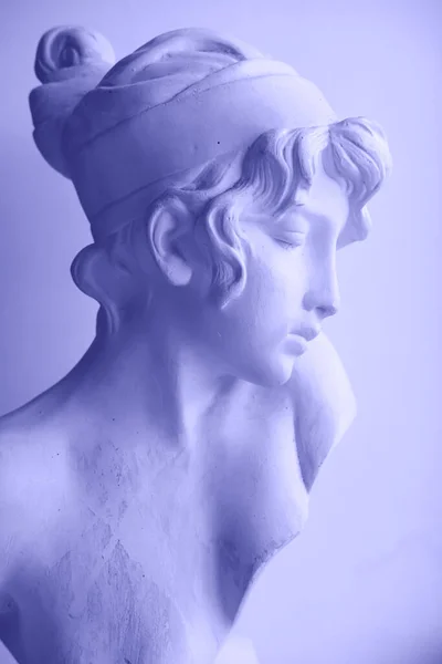 Female Plaster Bust Side View Vertical Image Trendy Color Year — Stock Photo, Image