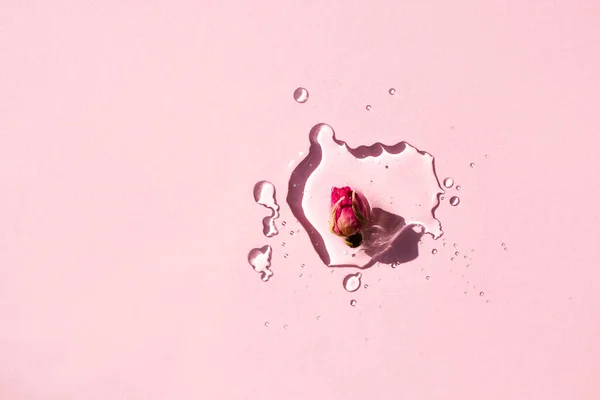 Natural rose bud in a drop of moisturizing essence on a pink background. Natural cosmetic. Flat lay, place for text.