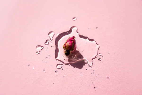Natural rose bud in a drop of moisturizing essence on a pink background. Natural cosmetic. View from above.