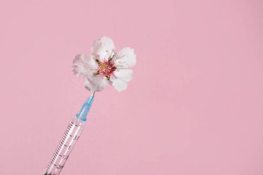 Pembe arka planda doğal pembe çiçek ve şırınga. Yukarıdan bak. Kozmetik prosedürleri kavramı.