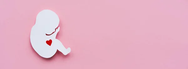 Paper silhouette of a human embryo with a red heart on a pink background. Banner, flat lay, space for text.