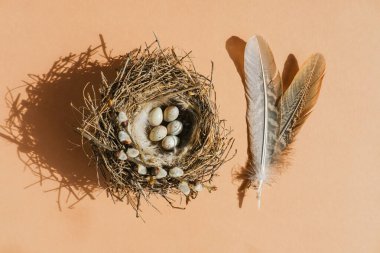 Top view of the nest with natural unpainted eggs and pheasant feathers on a beige background. Easter concept. Flat lay, close-up.