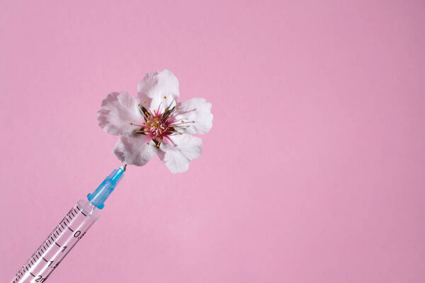 Natural pink flower and injection syringe on a pink background. View from above. The concept of cosmetic procedures. Flat lay, top view, copy space.