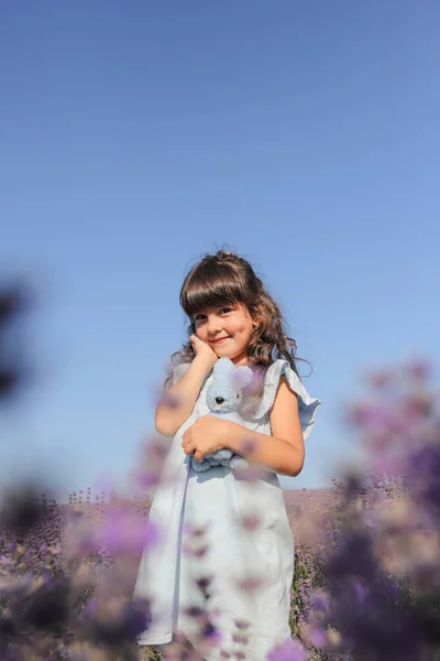 青空に背を向けるラベンダー畑の美しい少女 垂直画像 — ストック写真