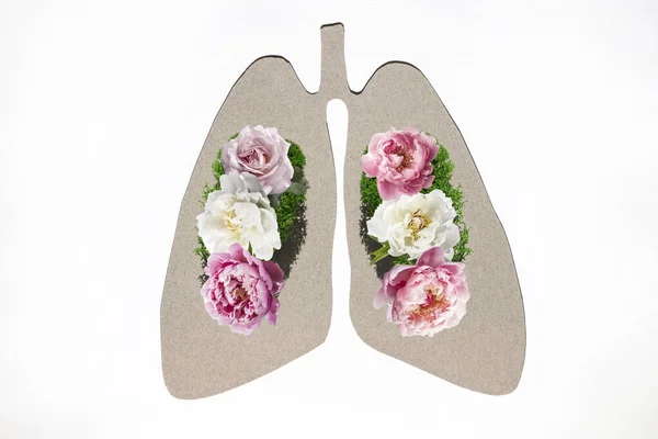 Papierowa Sylwetka Anatomicznych Płuc Naturalnych Kolorach Białym Tle Koncepcja Zdrowego — Zdjęcie stockowe