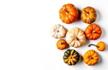 Açık renkli arka planda renkli mevsimlik balkabakları. Cadılar Bayramı ve Şükran Günü konsepti. Üst görünüm, metin için boşluk.