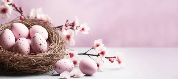 Paskalya Kompozisyonu Yumurtalar Pastel Arka Planda Bir Yuvada Pankart Metin Telifsiz Stok Fotoğraflar