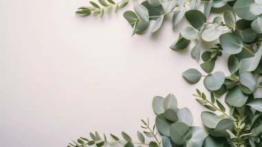 Dekoratif tebrik kartı, davetiye geçmişi, doğum günü ya da düğün dekorasyonu. Hafif arka planda okaliptüs dalları. Üst görünüm, metin için boşluk.