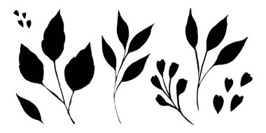 Beyaz üzerine izole edilmiş siyah yaprak ve dallardan oluşan bir siluet seti. Tasarımın için dekorasyon unsurları. Vektör.