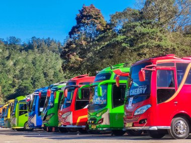 Otoparkta kalan bir sürtük. Mavi gökyüzü ve ağaçlarla dolu otobüslerin önü. Banjarnegara, Endonezya - 16 Mayıs 2023.