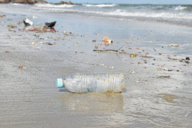 Kumsalda insanların kirliliği ve şişesi