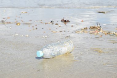 Kumsalda insanların kirliliği ve şişesi