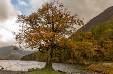 İngiltere 'nin Lake District bölgesindeki Buttermere Gölü' nün etrafında tipik bir sonbahar günü
