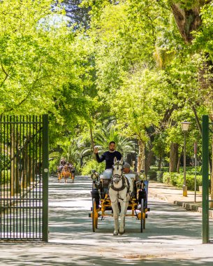 İspanya 'nın Sevilla kentindeki güzel Plaza de Espana meydanının manzarası